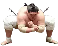 a sumo wrestler is kneeling down with his fist up