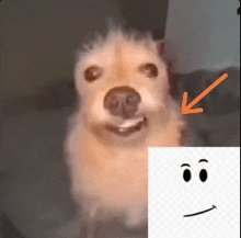 a close up of a dog with a smiley face next to it .