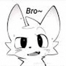 a black and white drawing of a cat with the words `` bro '' written above it .