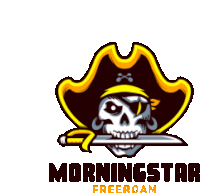 a logo for morningstar freeroam with a pirate skull holding a sword .