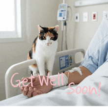 a cat sitting on a person 's arm in a hospital bed with the words get well soon