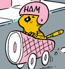 a cat wearing a pink helmet that says ham