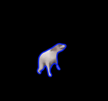 a picture of a dog with a blue outline on a black background .