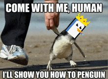 a person walking a penguin on the beach with the caption come with me human