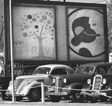 a black and white photo of cars parked in front of a sign that says we thrive