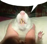 a person is holding a rat with its mouth open and a speech bubble above its head .