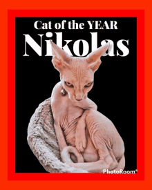 a picture of a hairless cat on the cover of cat of the year nikola