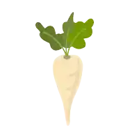 a white radish with green leaves on it