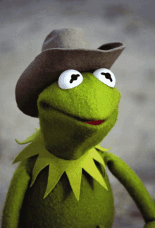 kermit the frog is wearing a cowboy hat and smiling for the camera