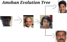 a diagram showing the evolution of a man 's face is titled amshan evolution tree