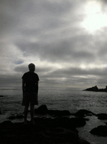 a silhouette of a person standing on a rocky beach looking at the ocean