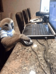 a monkey is sitting at a counter using a laptop computer .