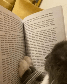 a cat is looking at a book that says meow