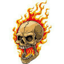 a skull with flames coming out of it on a white background .