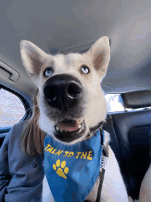 a dog is wearing a bandana that says talk to the