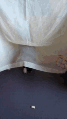 a person standing under a white curtain on a carpet