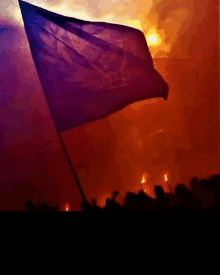 a purple flag with the word olympics on it is flying in front of a crowd