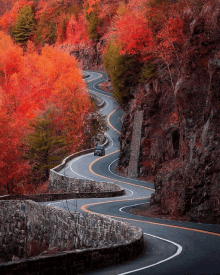 a car is driving down a winding road in the woods