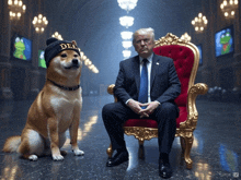 a dog wearing a dia hat sits next to donald trump