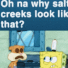 a cartoon of spongebob and sandy cheeks talking about salt creek