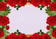 a frame made of red roses and green leaves on a white background .