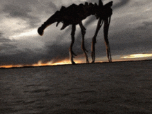 a silhouette of a monster with long legs standing on a beach