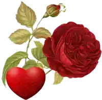 a red rose with green leaves and a red heart next to it