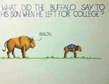 a cartoon of a bison talking to another bison with the words what did the buffalo say to his son when he left for college