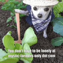 a small white dog wearing a straw hat and a bandana is standing in a garden