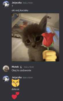 a screenshot of a chat with a kitten holding a flower