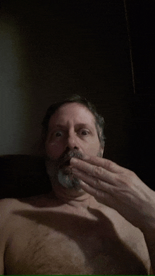 a shirtless man with a beard is taking a selfie