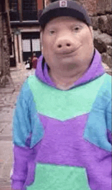 a man with a pig mask on his face is wearing a purple and green hoodie and a hat .