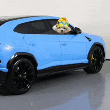 a blue car with a dog wearing an easter egg hat