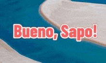 a picture of a swimming pool with the words bueno sapo ! written on it .