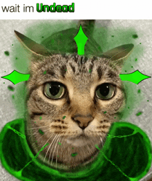 a cat with green arrows pointing at it and the words wait im undead below it