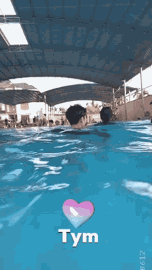 a man is swimming in a pool with a pink heart and the word tym above him