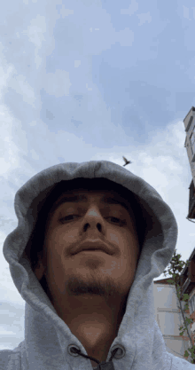 a man wearing a grey hoodie looks at the camera with a bird flying in the background