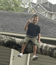 a young boy is sitting on a tree branch and giving a thumbs up