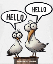 a cartoon of two seagulls talking about hello