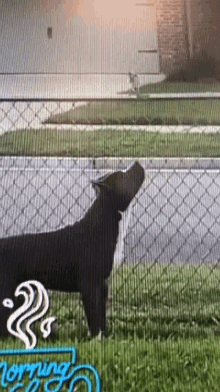 a person standing next to a chain link fence next to a sign that says ' snapchat ' on it