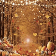 a forest filled with pumpkins , leaves , and a basket of apples .