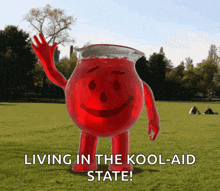 a picture of a pitcher of kool-aid standing in a grassy field