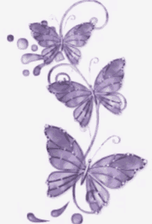 three purple butterflies on a white background