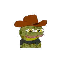 a cartoon frog wearing a brown cowboy hat and a black shirt