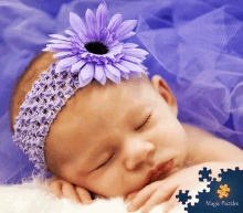 a baby wearing a headband with a purple flower in it