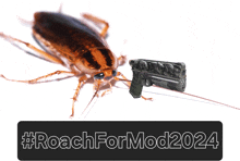 a picture of a cockroach and a gun with #roachformod2024