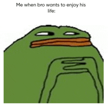 a cartoon of a green frog with an orange beak and the words `` me when bro wants to enjoy his life ''