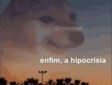 a dog is looking up at the sky with the words `` enfim , a hipocrisia '' .