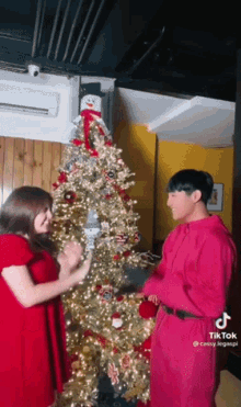 a woman in a red dress is standing next to a man in a pink shirt in front of a christmas tree .