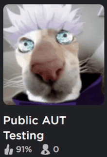 a picture of a cat with the words public aut testing on it